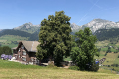 Ferienhaus «Höchi» in Wildhaus, 2019