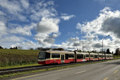 Forchbahn Zollikerberg, 2022